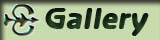 Gallery Button